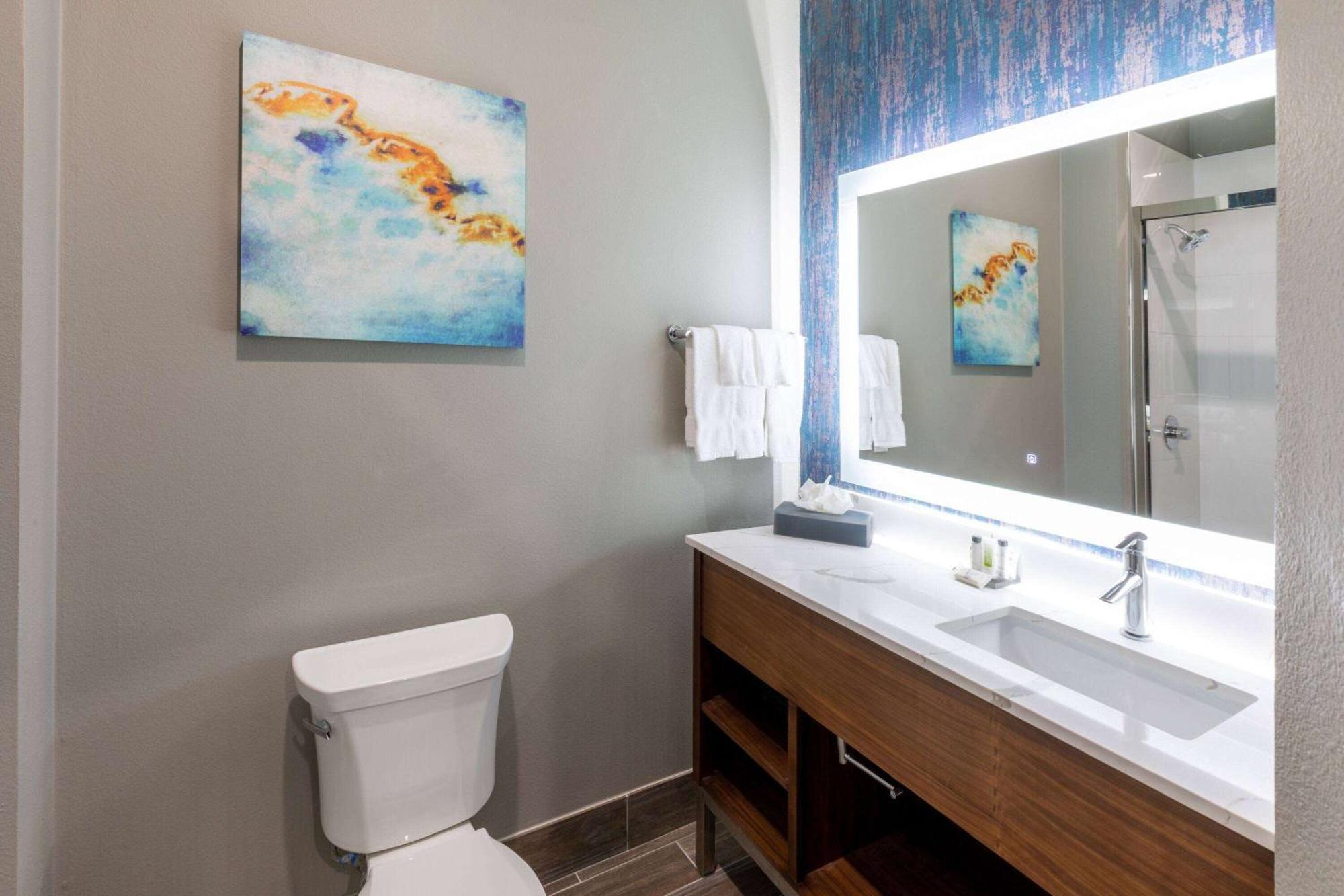 La Quinta Inn & Suites By Wyndham Dallas - Frisco Stadium Экстерьер фото